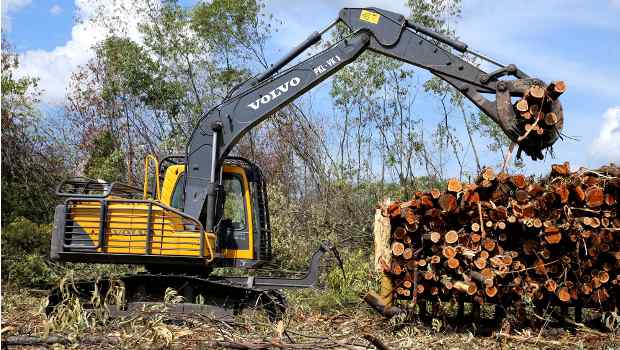 Volvo fait vivre l'industrie du bois en Indonésie