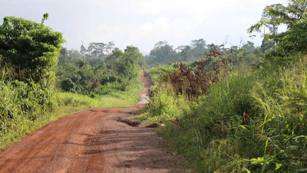 Guinée : 50 M$ de prêts pour les routes