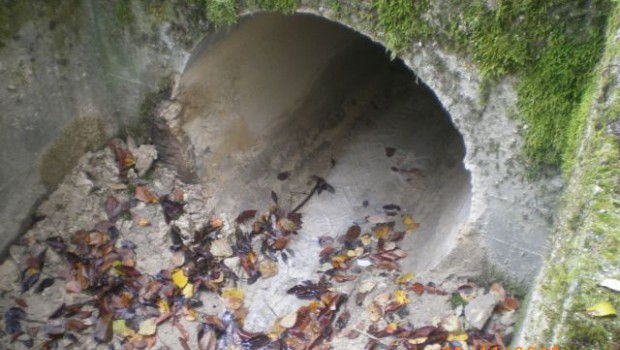 Tunnel du Vuache : des bactéries nettoyeuses dans le réseau d’assainissement