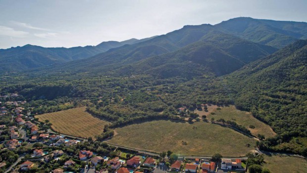 Vinci Autoroutes préserve les espèces du Languedoc-Roussillon