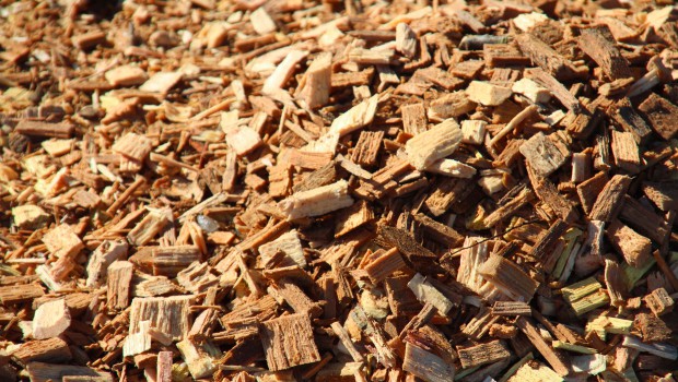 Le recyclage du bois face à un manque de débouchés