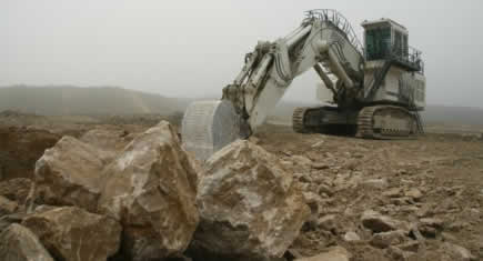 140 pelles minières en 2010 pour l’usine Liebherr de Colmar