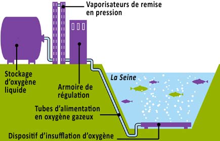 Le Siaap aux petits soins pour la Seine