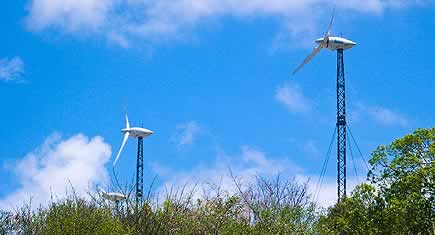 Un appel d’offre pour des éoliennes Outre-Mer et en Corse