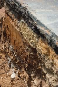 Les bons gestes pour faire une tranchée