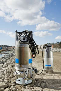 Xylem : se renouveler pour mieux pomper