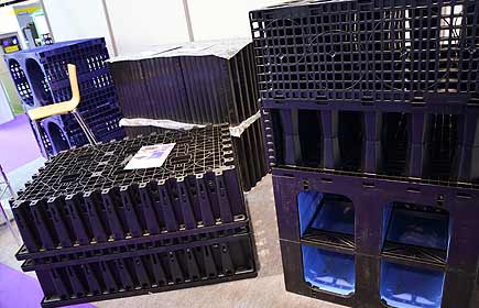 Des Sauls certifiées