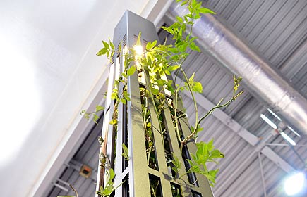 L'art de l'aluminium de Technilum