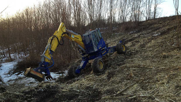Sefa Environnement : les travaux de débroussaillage passent à la vitesse supérieure 
