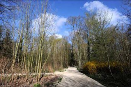 Reims poursuit sa mue