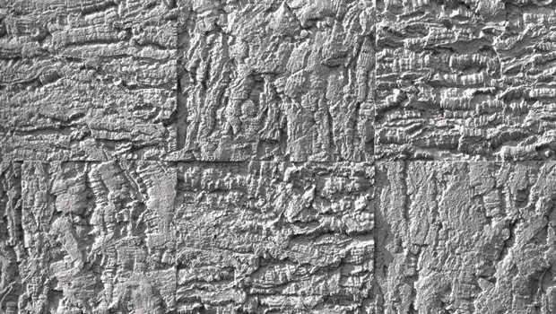 France Maccaferri : pour une intégration économique, sociale et écologique 