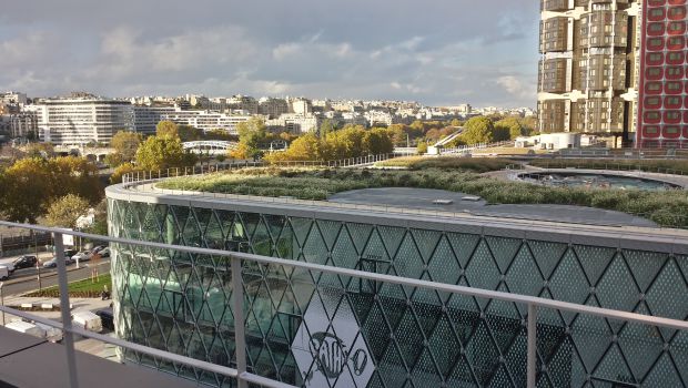 Façades et toits végétalisés : quand le bâtiment se met au vert