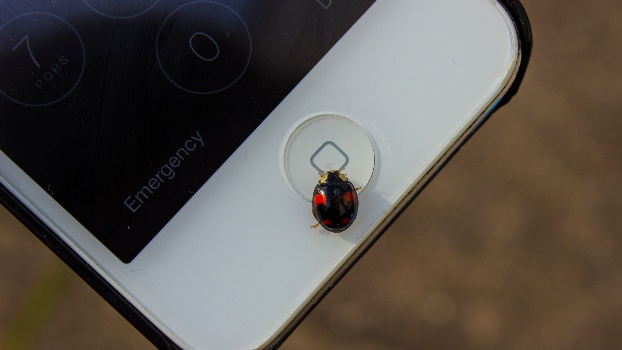 Très Haut Débit : et le vainqueur est…