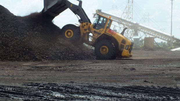 Volvo à l’œuvre dans la jungle de Bornéo