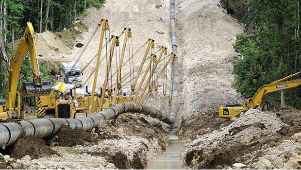 Vinci sillonne la jungle de la Papouasie