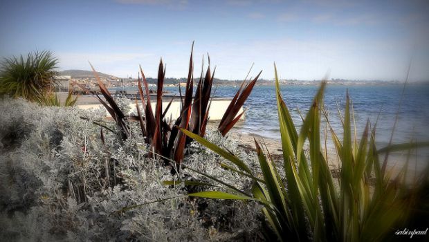 Dans l'Hérault, les thermes de Balaruc-les-Bains s'offrent une cure