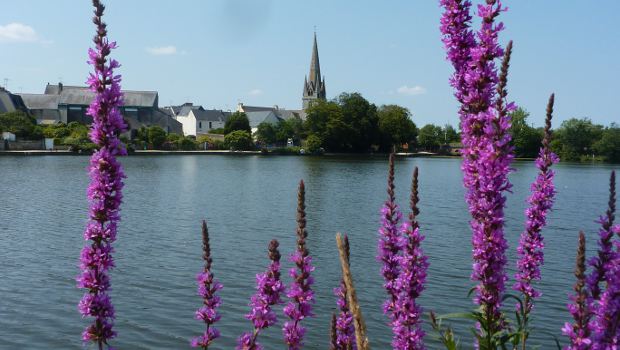 A Quimperlé, on renforce les berges de l'Isole