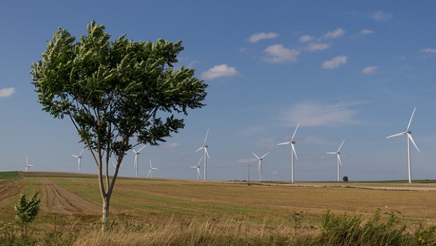 Eolien : le secteur poursuit une croissance importante