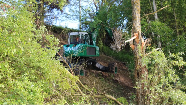 1er bilan pour le comité stratégique de la filière bois