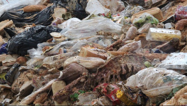 Baudelet Environnement mise sur la Tiger Cesaro et W41TP