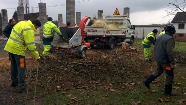 Déchets verts : les nouvelles pratiques