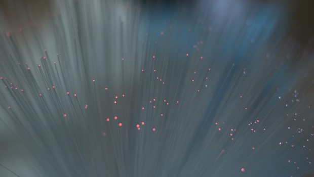 Fibre : quand l'union fait la force