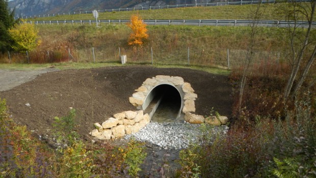 Sallanches : un passage à faune sous l'A40