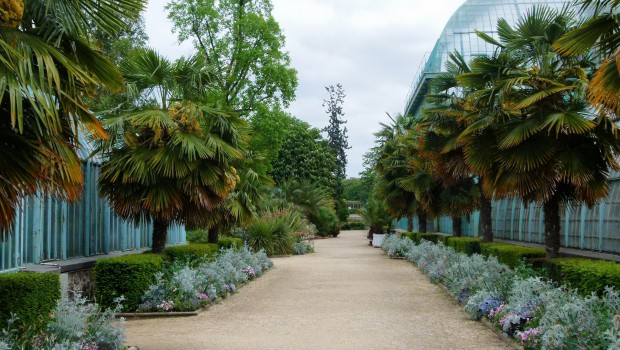 Des pelles dans les Serres d'Auteuil