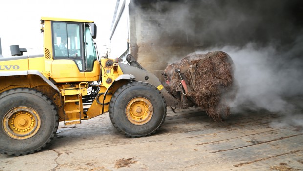 Pologne : Volvo fait une belle cueillette