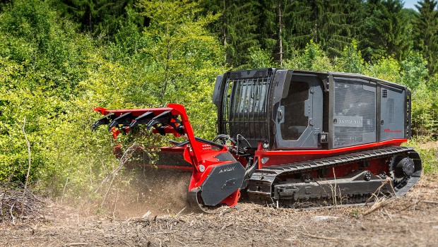 Hantsch vend son 1er Raptor 300