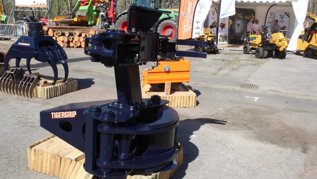 Intermercato sort le Tiger Cut 30