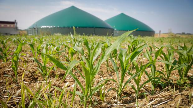 Biogaz : cap sur 2030 pour l’injection