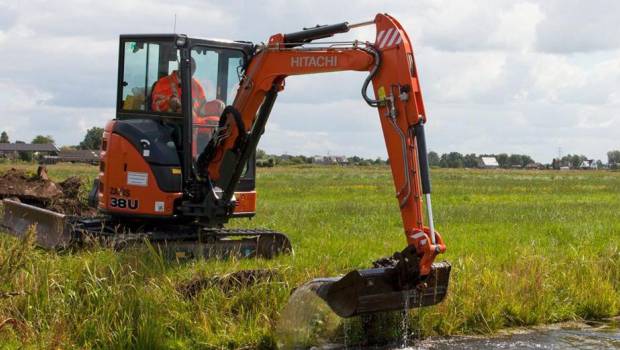 Des éléphants bien soignés avec Hitachi