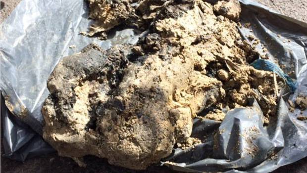 Londres en proie à un iceberg de graisse géant