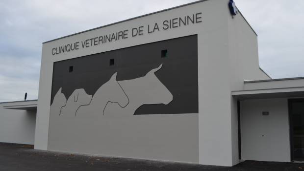 À Gavray, Ciments Calcia met les animaux en relief