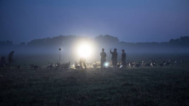 Peli augmente la puissance de neuf torches