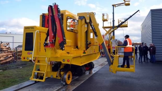 Elan D : une espèce en voie d’apparition !