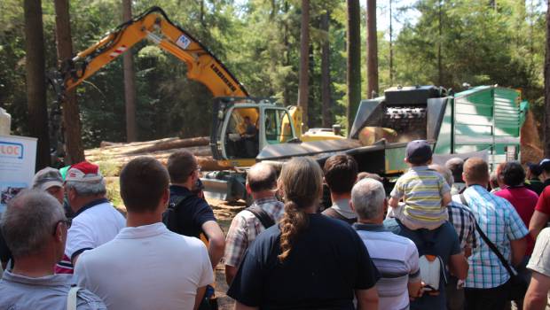 Euroforest vise la cime