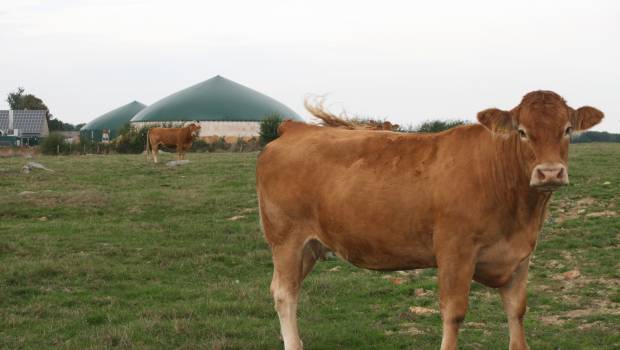 Une possible indépendance gazière ?