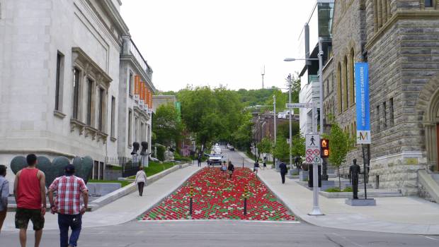 La CNATP représente officiellement les artisans des TP et du paysage