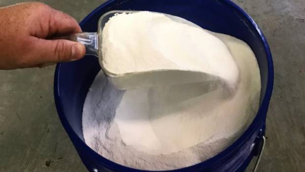 Drylet présent sur Ifat