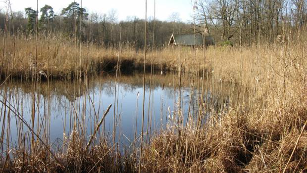 Le parc naturel régional de la Haute Vallée de Chevreuse sous protection