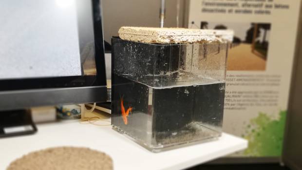 Un révêtement alternatif, maxi-perméable