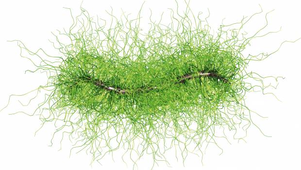 Sika lance le 1er adjuvant biosourcé pour béton