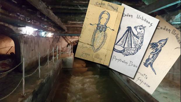 Musée des égouts : une exposition avant travaux