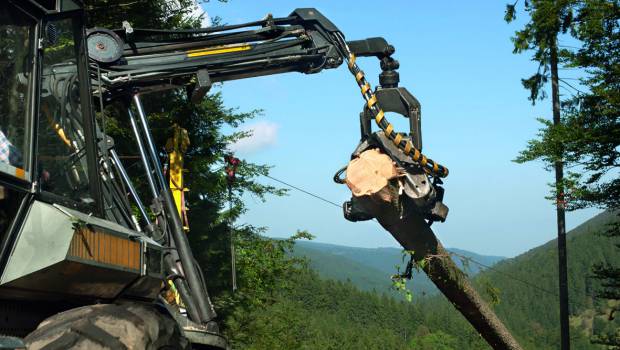 Euroforest : Condat sort ses huiles