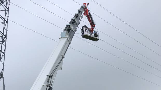 La plus grande araignée Palazzani est en France