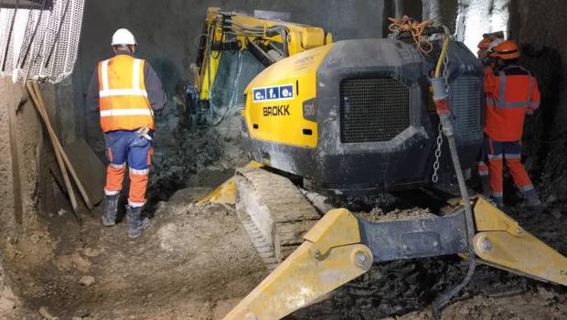 Pelles spéciales : les loueurs à l’affût