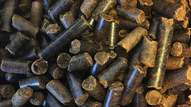 Européenne de Biomasse va produire ses Black pellets à Pomacle-Bazancourt