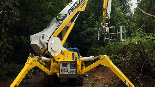 Une araignée Palazzani chez Mediaco